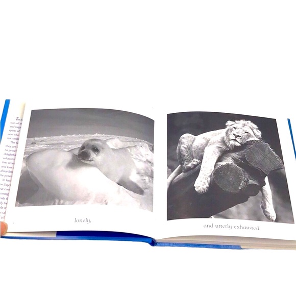 The Blue Day Book by Bradley Trevor Greive - Picture 3 of 6